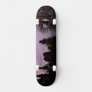 Skateboard Planche à roulettes