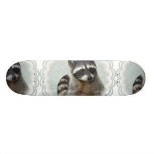 Skateboard Planche à roulettes baguée de raton laveur