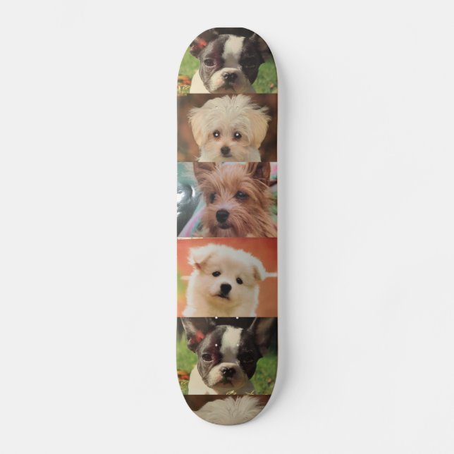 Skateboard Planche à roulettes de chien (Recto)