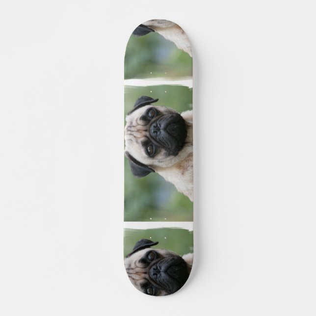 Skateboard Planche à roulettes de chiot de carlin (Devant)