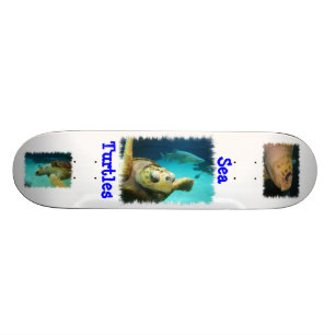 Skateboard Planche à roulettes de conception de tortue de me