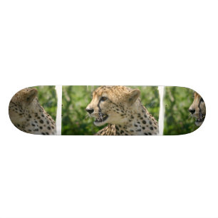 Skateboard Planche à roulettes de guépard de grondement