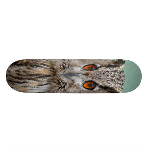 Skateboard planche à roulettes de hibou
