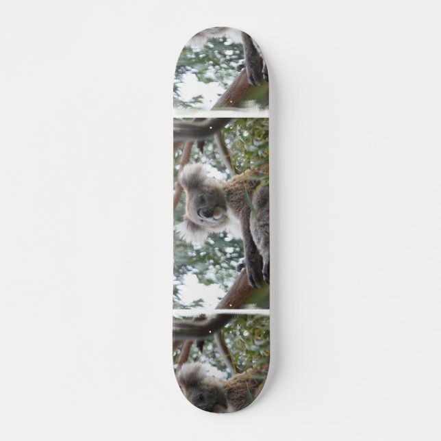 Skateboard Planche à roulettes de koala (Devant)