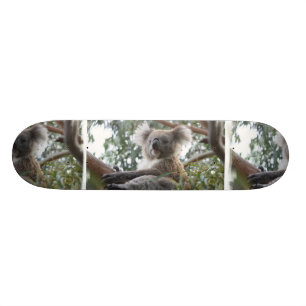 Skateboard Planche à roulettes de koala