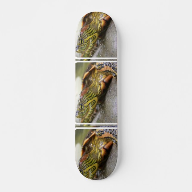 Skateboard Planche à roulettes d'identification de tortue (Devant)