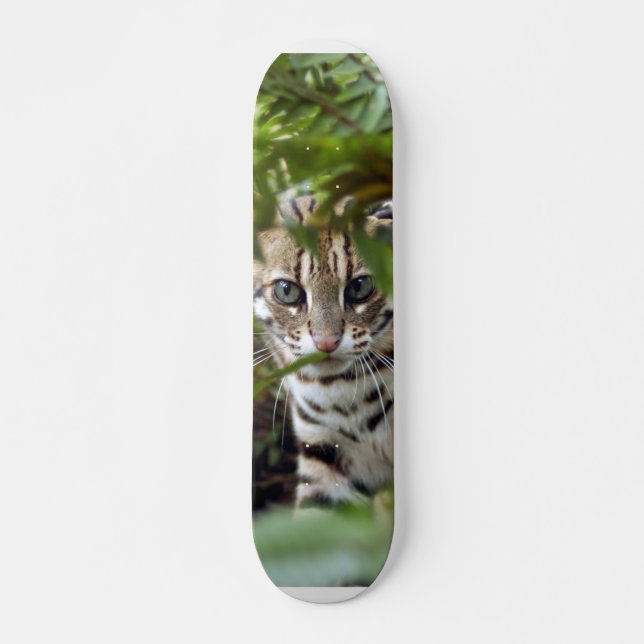 Skateboard Planche à roulettes du chat 022 du Bengale (Devant)