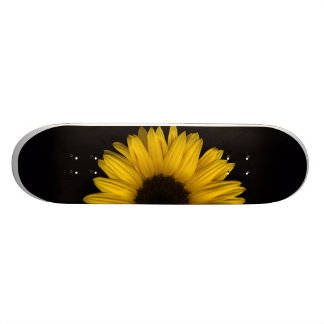 Skateboard Planche à roulettes en hausse de tournesol pro