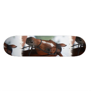 Skateboard Planche à roulettes équestre de concours hippiqu