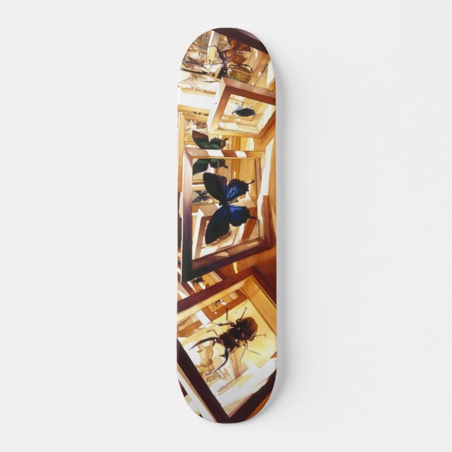 Skateboard " Planche à roulettes légère "de décalage (Devant)