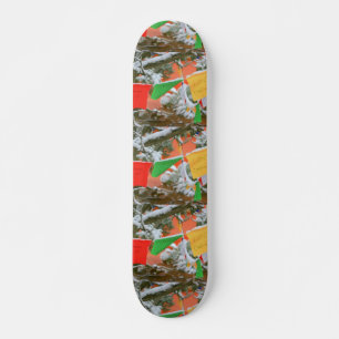 Skateboard planche à roulettes tibétaine