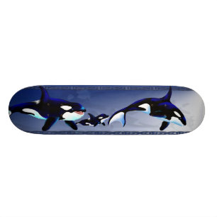 Skateboard Planches à roulettes de famille d'épaulard