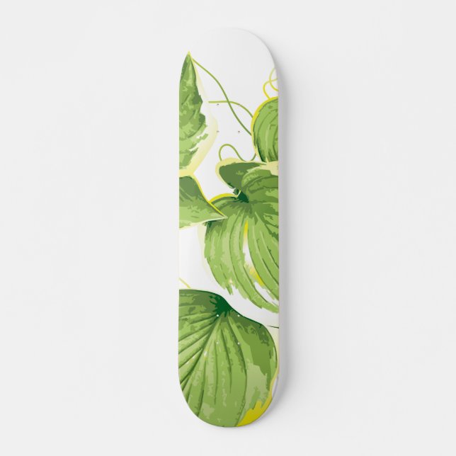Skateboard Plante de figuier (Devant)