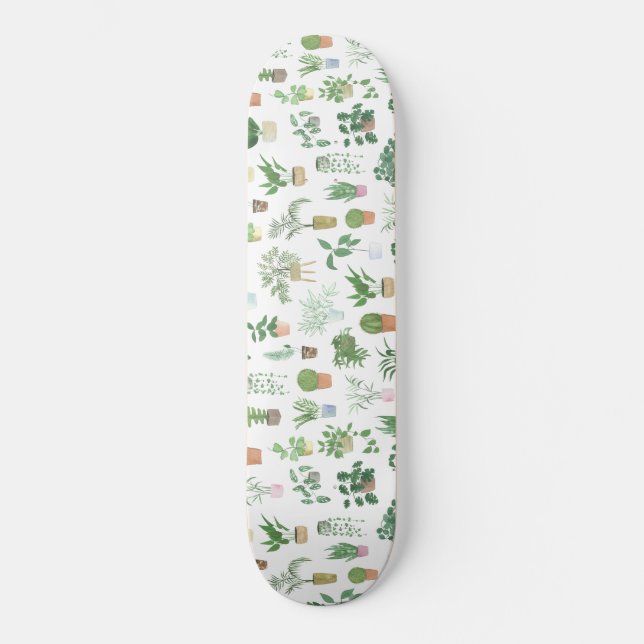 Skateboard Plants de Plants (Recto)