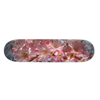 Skateboard Plate-forme de fleurs de cerisier