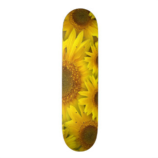 Skateboard Plate-forme de planche à roulettes de tournesol