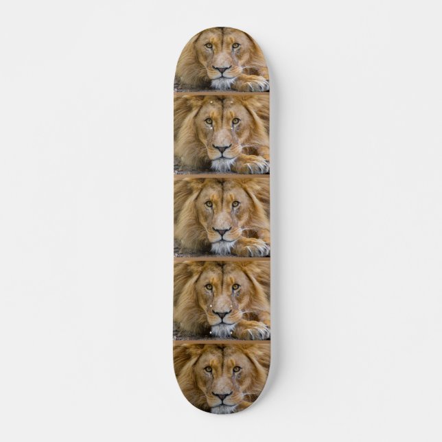 Skateboard Platines LION (Devant)
