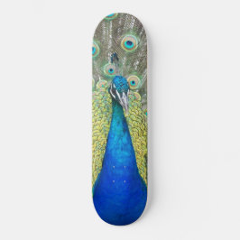 Skateboard Plumage bleu Peacock