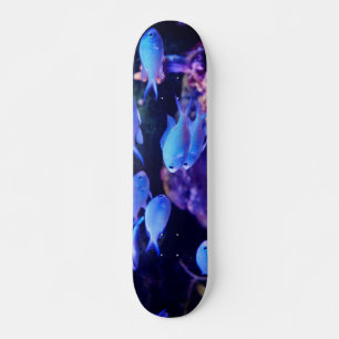 Skateboard Poisson bleu tropical