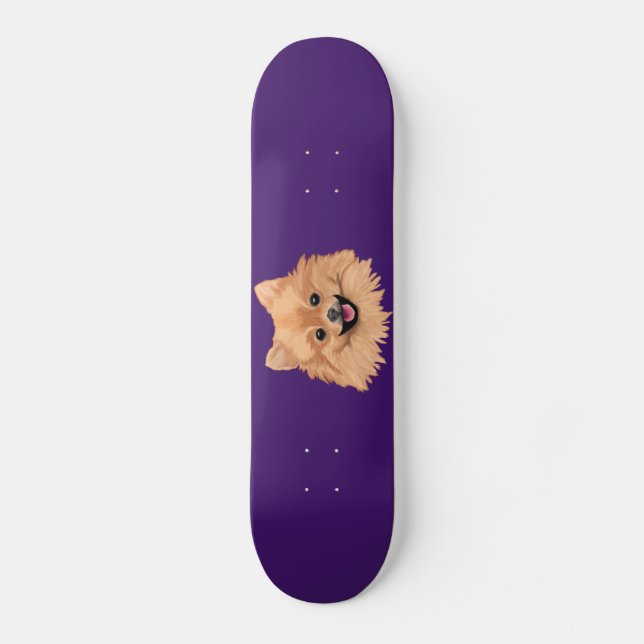 Skateboard Pomeranian (Recto)