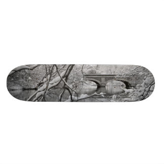 Skateboard Pont de voûte au-dessus de rivière congelée en