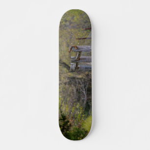 Skateboard Pose de clôture d'écureuil