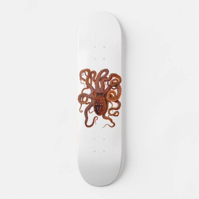 Skateboard Poulpe repéré par blanc atlantique de Macropus de (Recto)