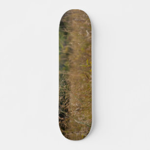 Skateboard Prairies surcultivées