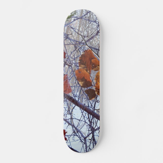 Skateboard Premier style de camouflage hivernal de neige (Recto)