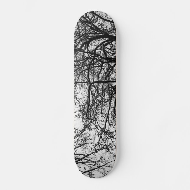 Skateboard première neige (Recto)