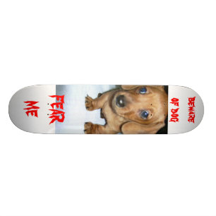 Skateboard prenez garde du chien