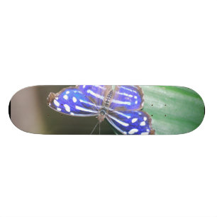 Skateboard Produit de personnaliser