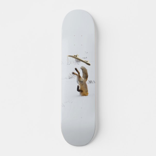 Skateboard Renard (Devant)
