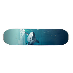 Skateboard requin