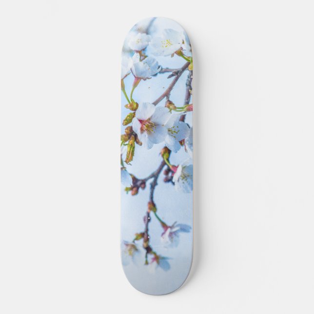 Skateboard Sakura - Fleur de cerisier japonaise (Recto)