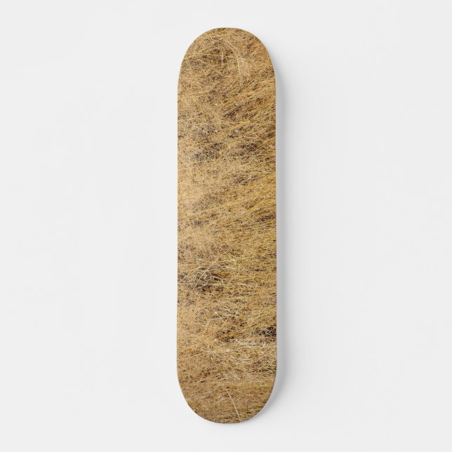 Skateboard "Sarcle" la planche à roulettes d'art de JTG (Devant)