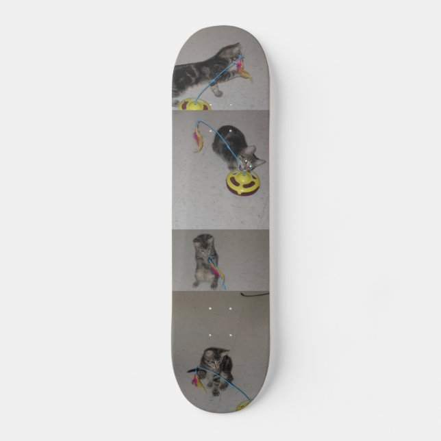 SKATEBOARD SASHA (Recto)