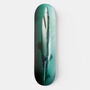Skateboard SCHÖNEN Hai Raubtier.