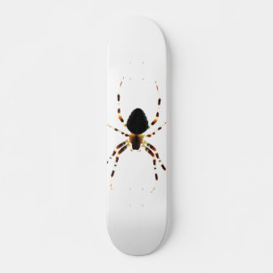 Skateboard Sdm Spider