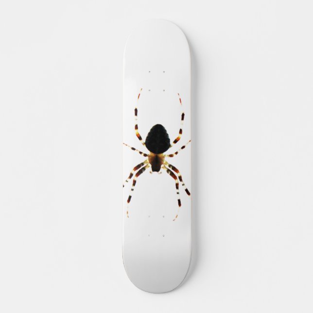 Skateboard Sdm Spider (Devant)