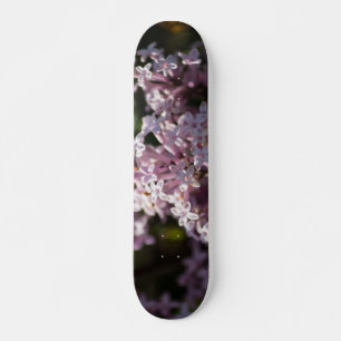 Skateboard Sentez ce lilas