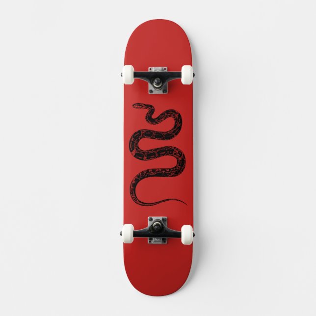 Skateboard Serpent (Recto)