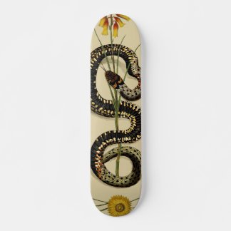 Skateboard Serpent et Fleur sauvage dans le sable