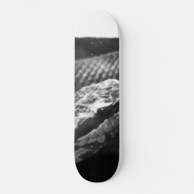 Skateboard Serpent noir et blanc (Recto)