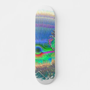 Skateboard Silverlake coucher de soleil Négatif Oval