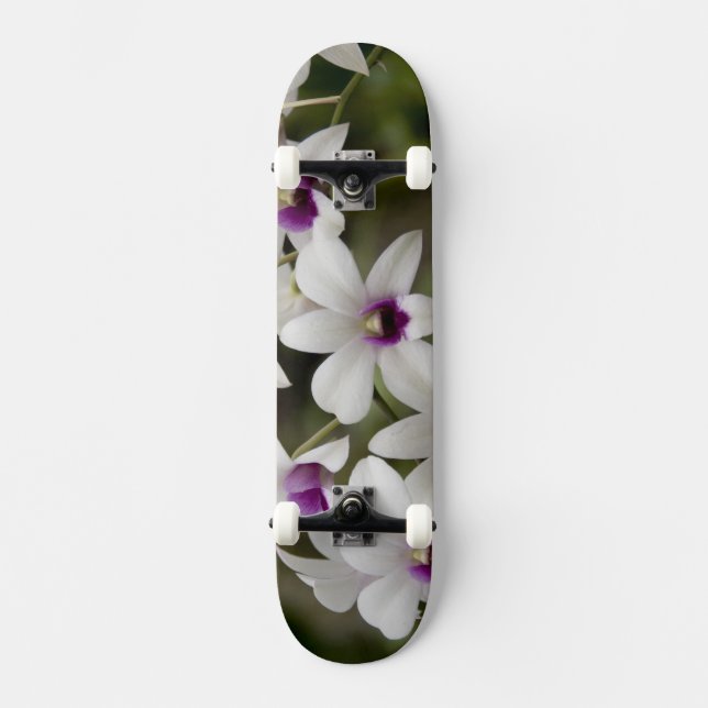 Skateboard Singapour (Sanskrit pour Lion City). National 2 (Recto)