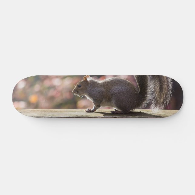 Skateboard Skate d'écureuil (Horz)