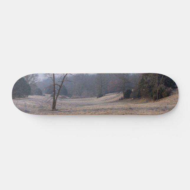 Skateboard Skate Foggy Meadow (Horz)