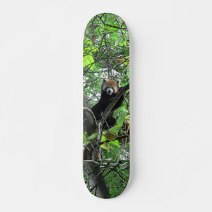 Skateboard Skate Red Panda