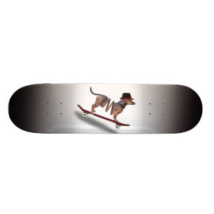 Skateboard Skateboardeur Dachshund Dog